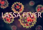 Nigeria records spike in lassa fever cases as death toll hits 140