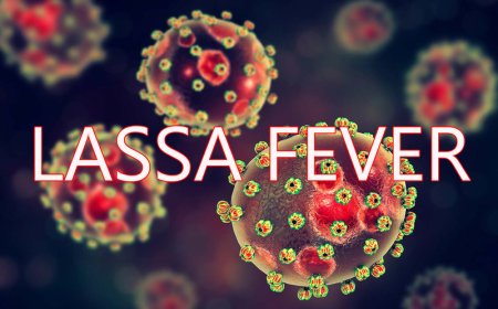 Nigeria records spike in lassa fever cases as death toll hits 140
